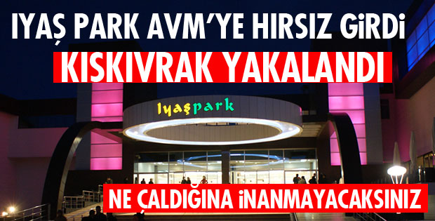 Iyas Park A Hirsiz Girdi