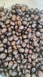 Gamzenin Yeri Bitki ve Yöresel Ürünler merkezi