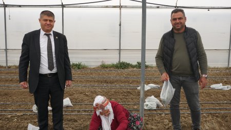Isparta'da karanfil üretimi başladı