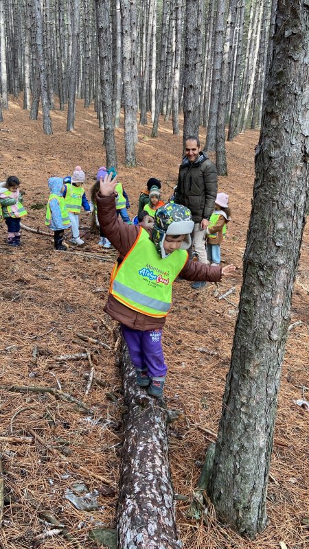 Isparta’nın ilk orman okulu