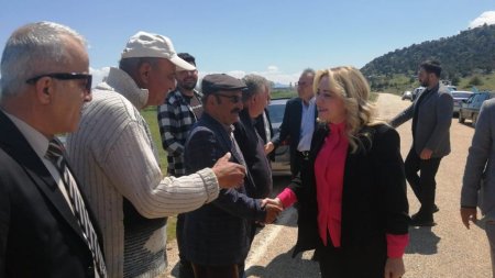 Milletvekili Cesur çalışmalarını anlattı