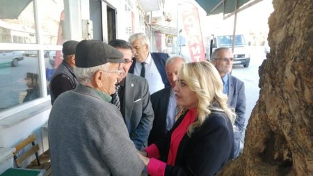 Milletvekili Cesur çalışmalarını anlattı