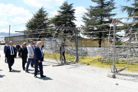 Canlı hayvan pazarına ek padoklar yapılıyor