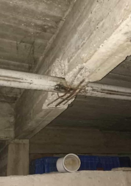 Binaların çoğu risk altında