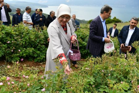  Sorkuncak Gül Hasadı ve Uçurtma Şenliği düzenlendi