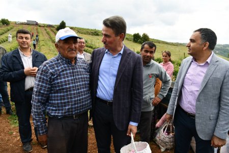 Sorkuncak Gül Hasadı ve Uçurtma Şenliği düzenlendi