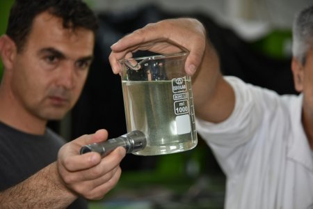 Eğirdir Gölü'ne yavru sazan desteği