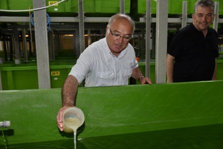 Eğirdir Gölü'ne yavru sazan desteği