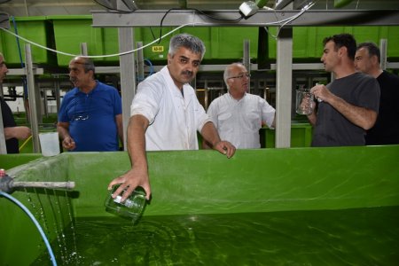 Eğirdir Gölü'ne yavru sazan desteği