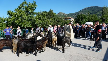 400 yıllık Kurban İndirme geleneği