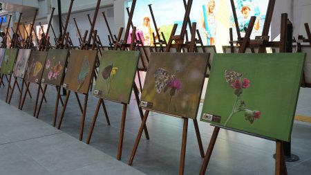 Isparta’nın Kelebekleri fotoğraf sergisi açıldı