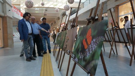 Isparta’nın Kelebekleri fotoğraf sergisi açıldı
