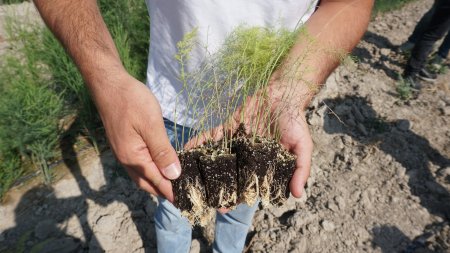 Isparta’da 400 dönümlük bir yatırım