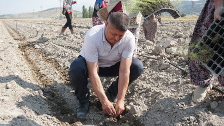 Isparta’da 400 dönümlük bir yatırım