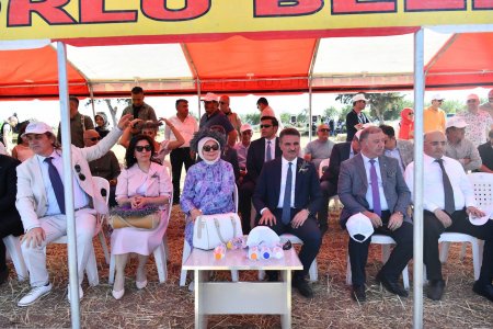 Lavanta Festivali başladı