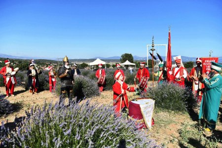 Lavanta Festivali başladı