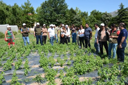 Eğirdir'de Tıbbi Aromatik Bitkiler konulu konferans verildi 