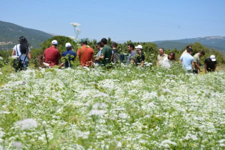 Eğirdir'de Tıbbi Aromatik Bitkiler konulu konferans verildi 