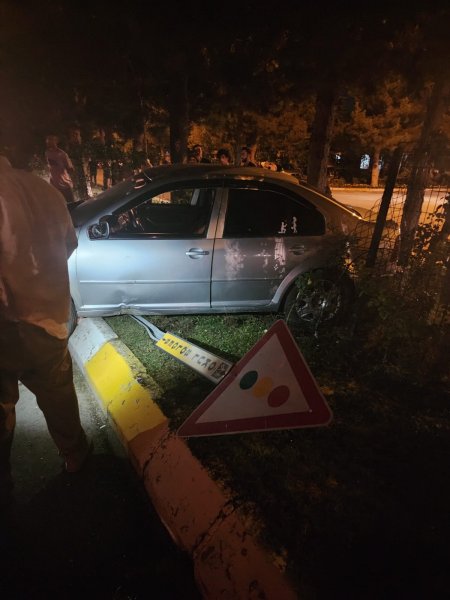 Otomobil refüje çıktı