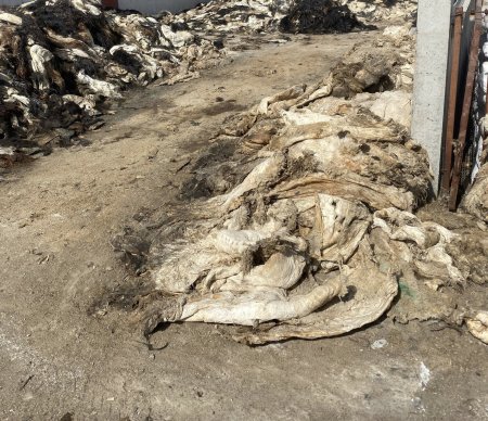 Çevre ve Şehircilik İl Müdürlüğü ne iş yapar