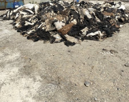 Çevre ve Şehircilik İl Müdürlüğü ne iş yapar