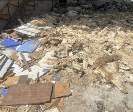 Çevre ve Şehircilik İl Müdürlüğü ne iş yapar