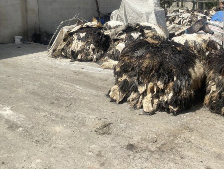 Çevre ve Şehircilik İl Müdürlüğü ne iş yapar