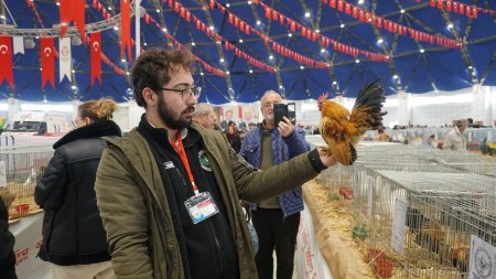 Dünyanın en büyük ve küçük horozları Isparta'da