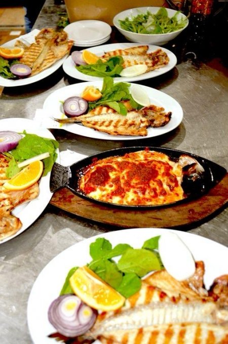 Gözde Balık Evinde 20. yıla özel İndirim Başladı