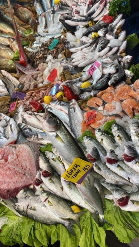 Gözde Balık Evinde 20. yıla özel İndirim Başladı