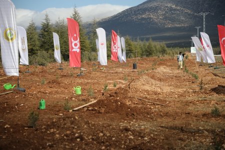  Isparta'da 2.500 fidan toprakla buluşturuldu