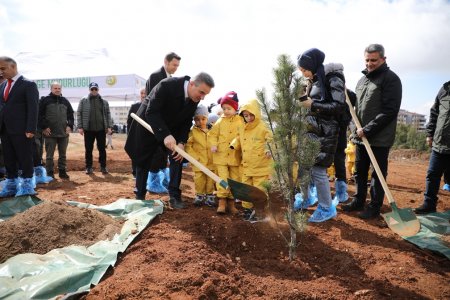  Isparta'da 2.500 fidan toprakla buluşturuldu