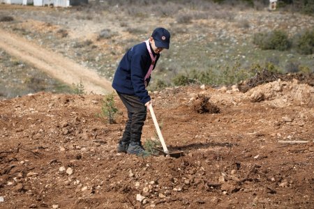  Isparta'da 2.500 fidan toprakla buluşturuldu