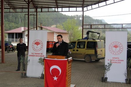 Sütçüler’de 7 bin adet zeytin fidanı dağıtıldı