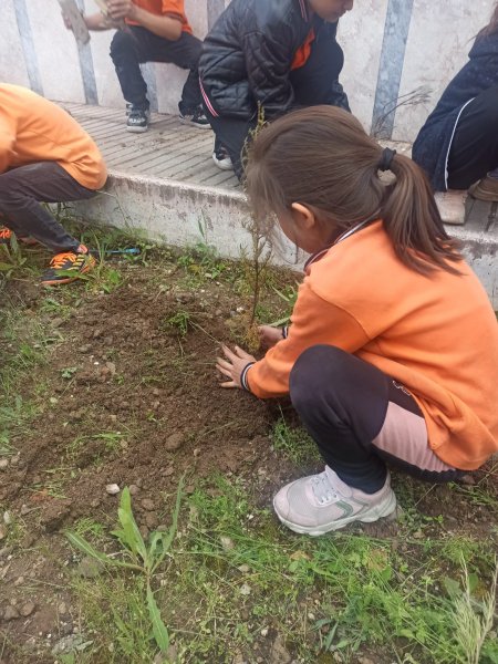 İlkokul çocuklarına çevre bilinci aşılama projesi