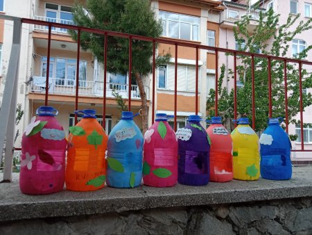 İlkokul çocuklarına çevre bilinci aşılama projesi