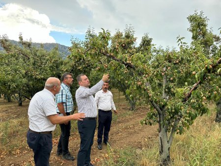 Milletvekili Sönmez Serpil Köyü’nü ziyaret etti