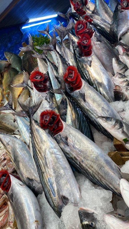 Gözde Balık Evinde 3 günlük balık indirim başladı