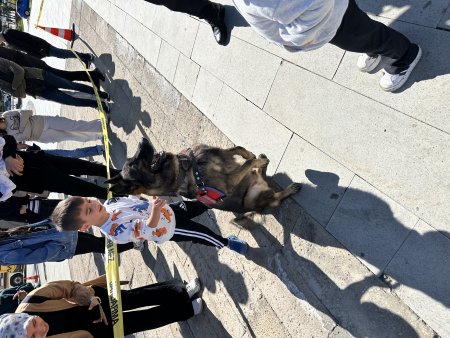 İl Jandarma Komutanlığının Can Dostu Teker’e büyük ilgi
