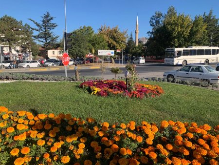 Isparta'ya yakışan görüntü