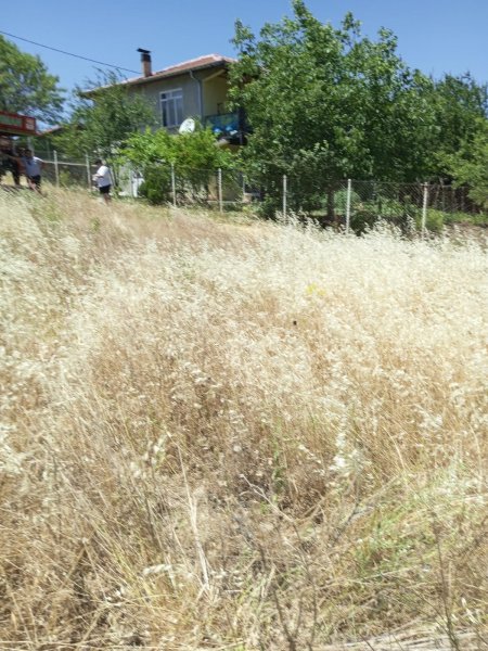 Isparta’da korkutan yangın