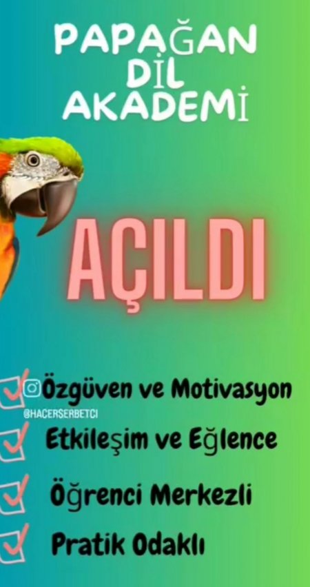 Papağan Dil Akademisi Isparta’da açıldı