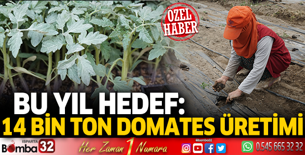  14 bin ton domates üretimi