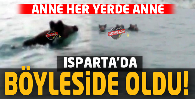  ANNE HER YERDE ANNE