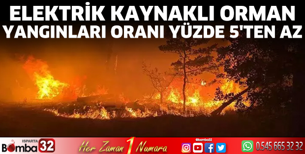  Elektrik kaynaklı orman yangınları oranı yüzde 5'ten az