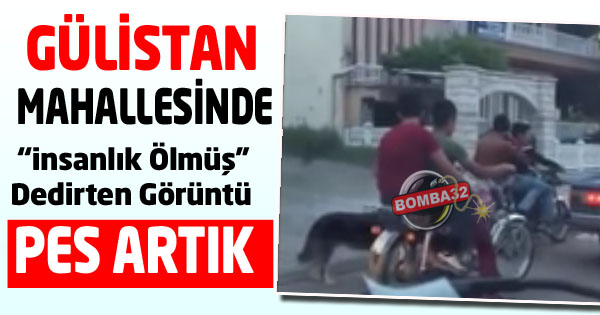 GÜLİSTAN MAHALESİNDE PES!