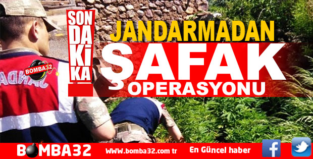  JANDARMADAN UYUŞTURUCU OPERASYONU