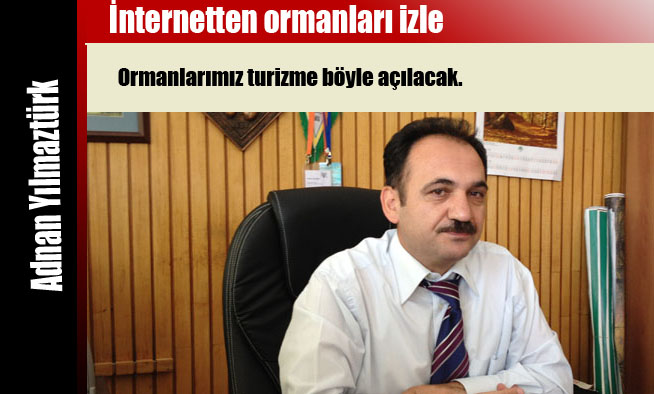 İnternetten ormanları izle