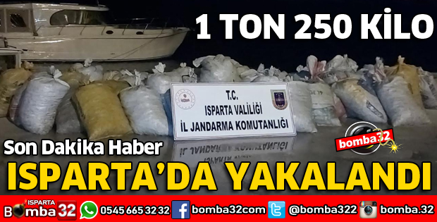 1 TON 250 KİLO YAKALANDI