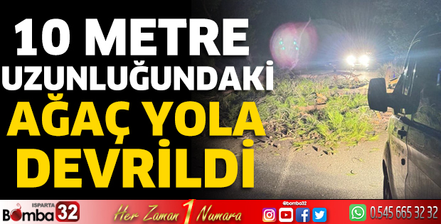 10 metre uzunluğundaki ağaç yola devrildi 